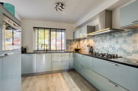 Gele Varaan 37 tertiary image