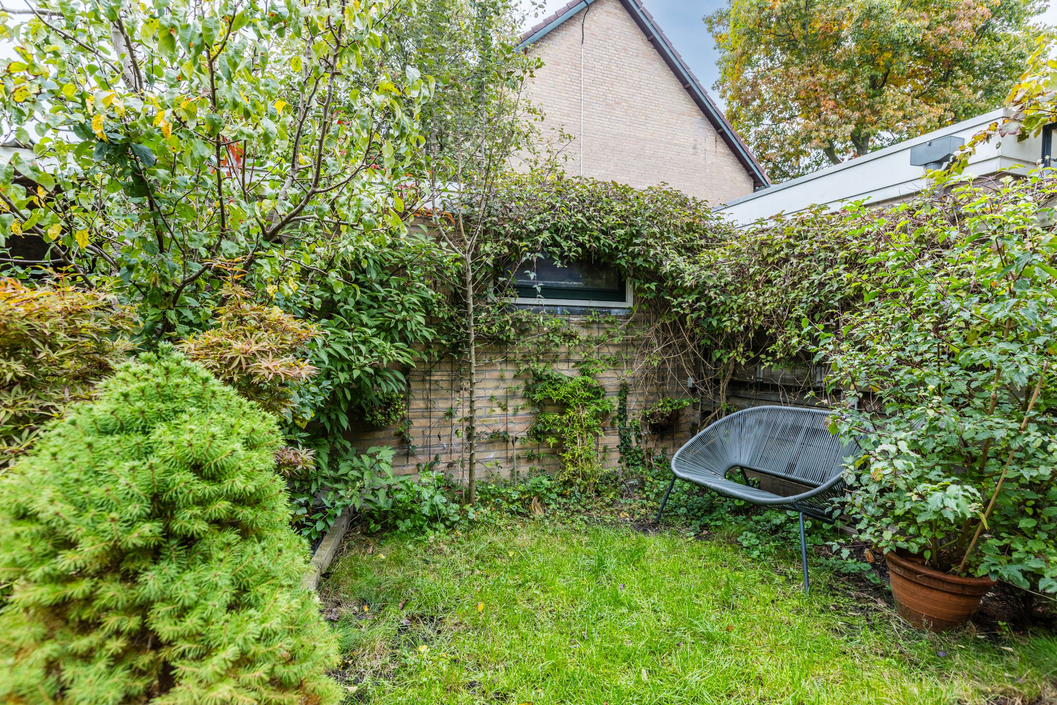 Foto 18 van Thorbeckestraat 10