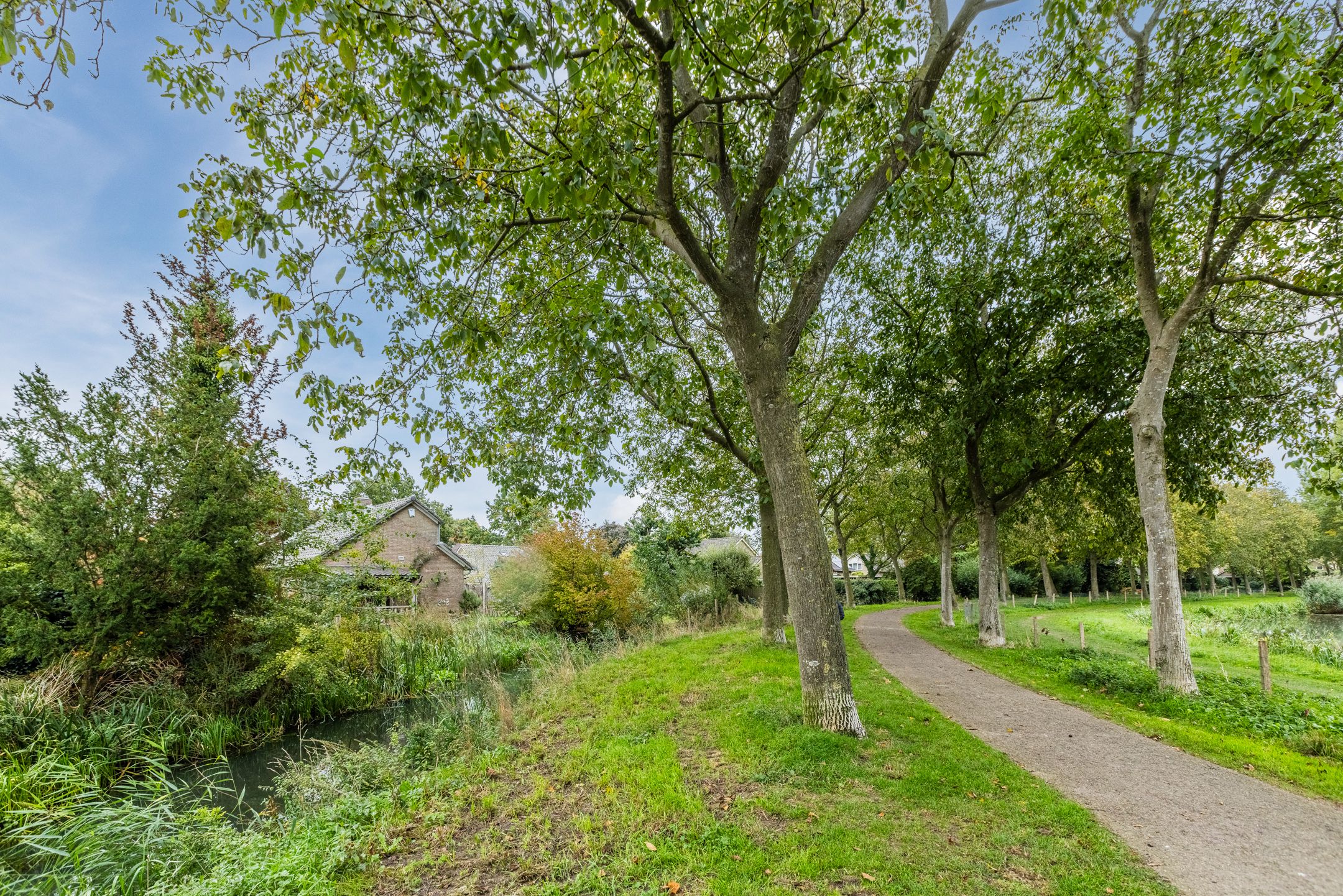 Foto 36 van Thorbeckestraat 10