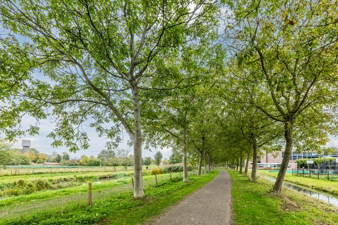 Foto 37 van Thorbeckestraat 10