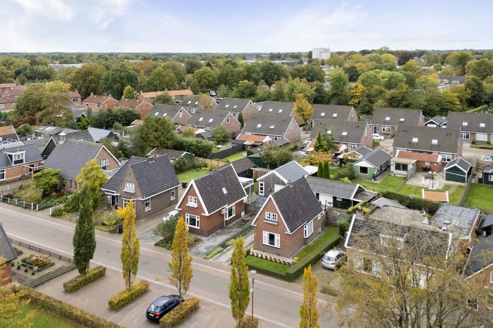 Foto 3 van Feintensloane 12