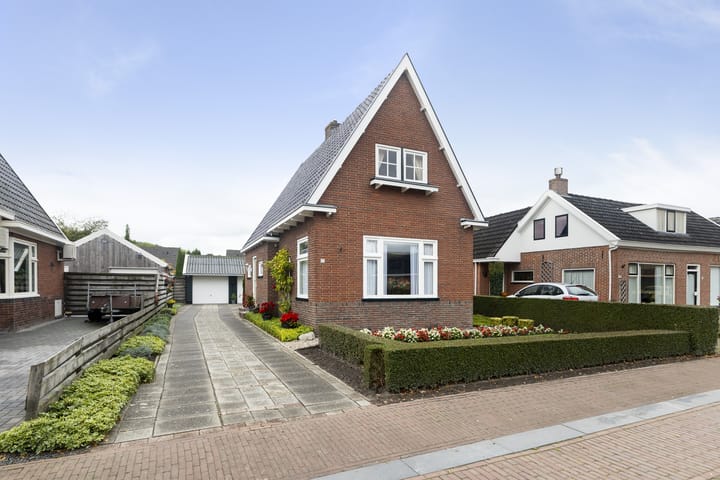 Foto 11 van Feintensloane 12