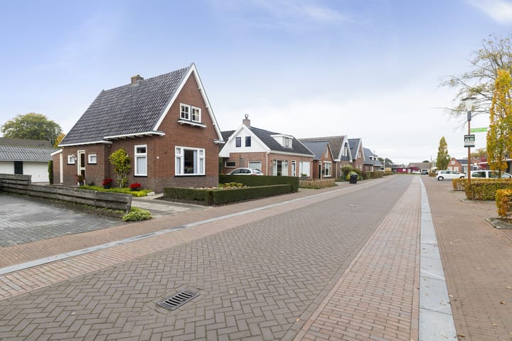 Foto 12 van Feintensloane 12