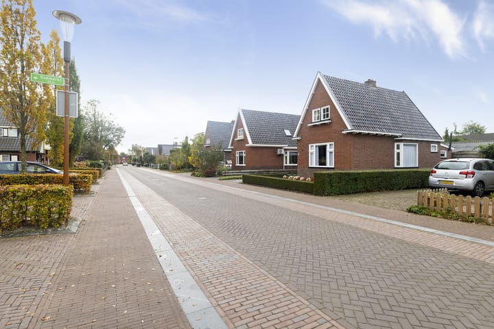 Foto 14 van Feintensloane 12