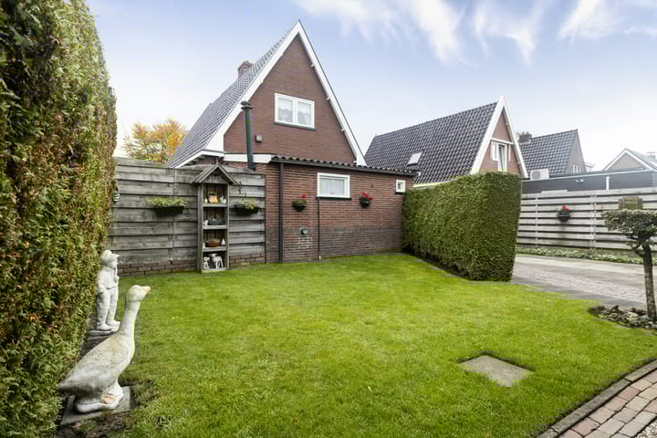 Foto 48 van Feintensloane 12