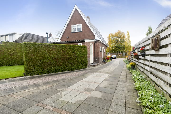 Foto 46 van Feintensloane 12