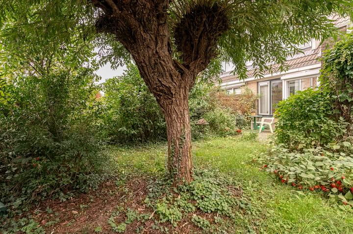 Foto 22 van De Twee Morgen 16