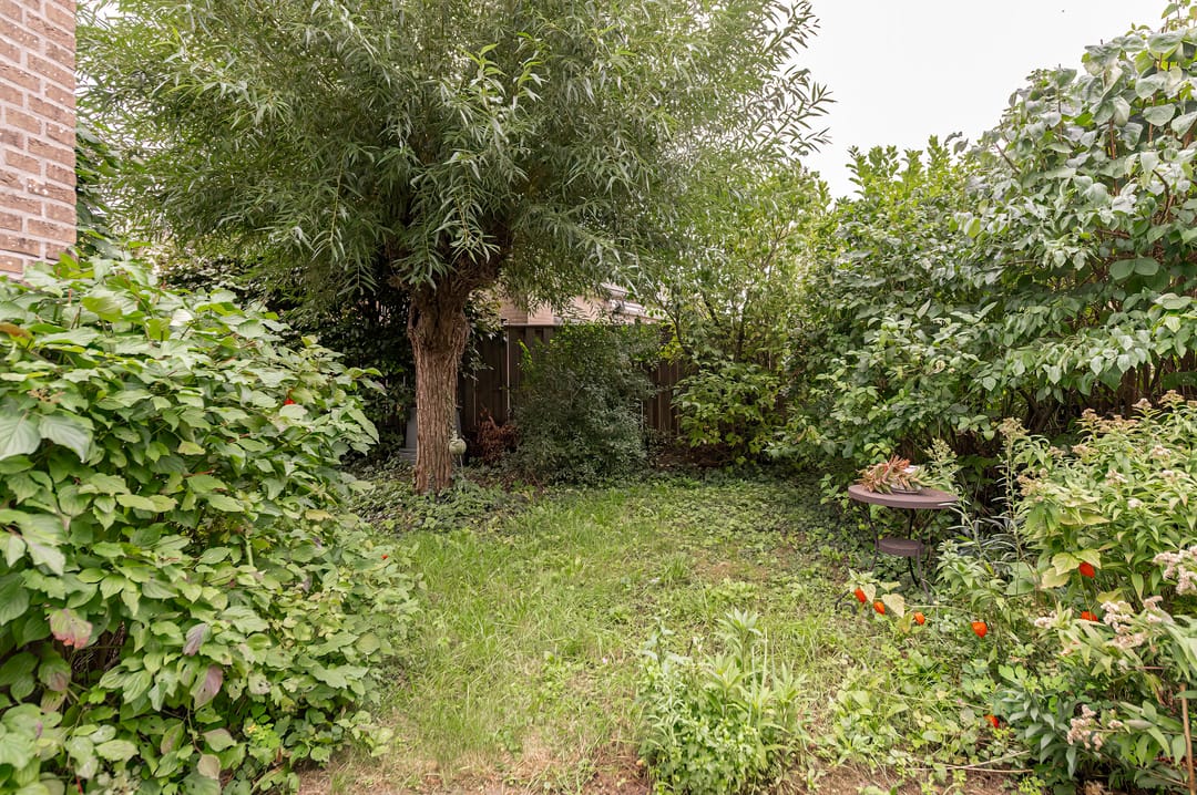 Photo 23 of De Twee Morgen 16