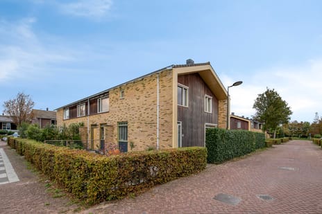 undefined main image