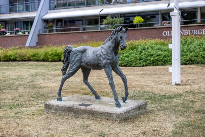 Foto 31 van De Reijenburg 152