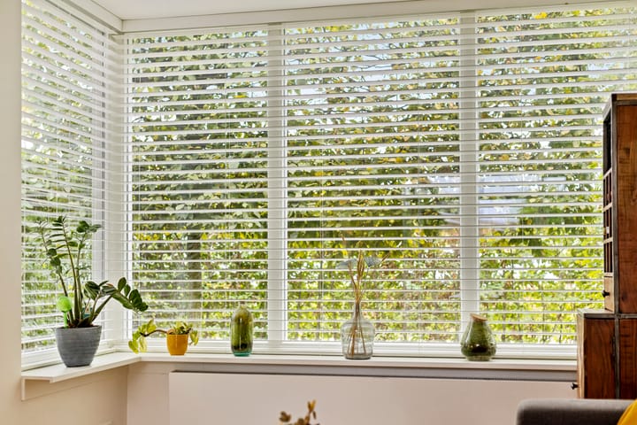 Foto 21 van Lidwinastraat 8