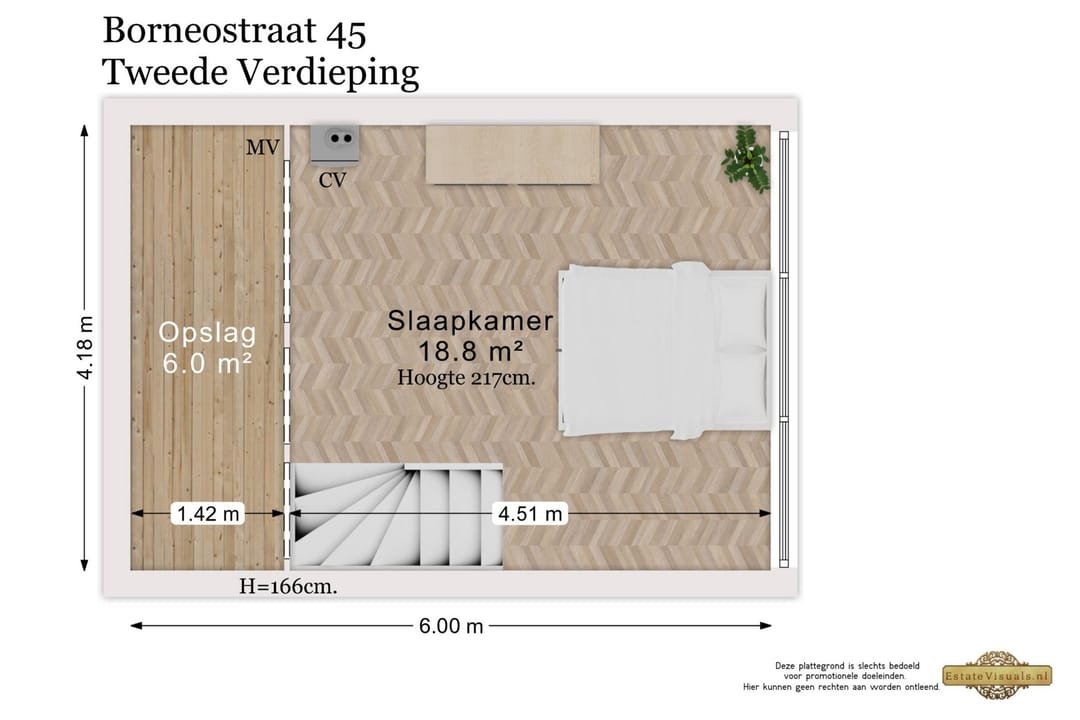 Foto 47 van Borneostraat 45