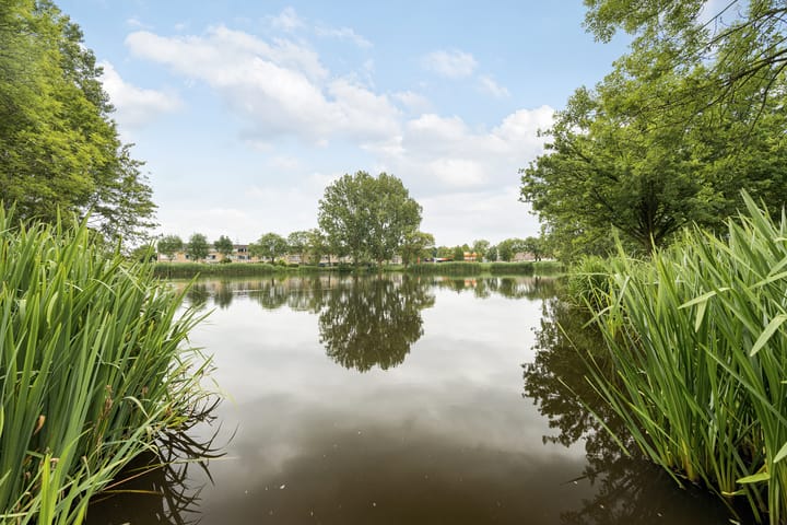 Photo 36 of Rondo 108