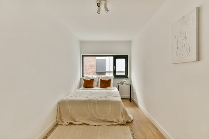 Foto 3 van Maria Austriastraat 692-C