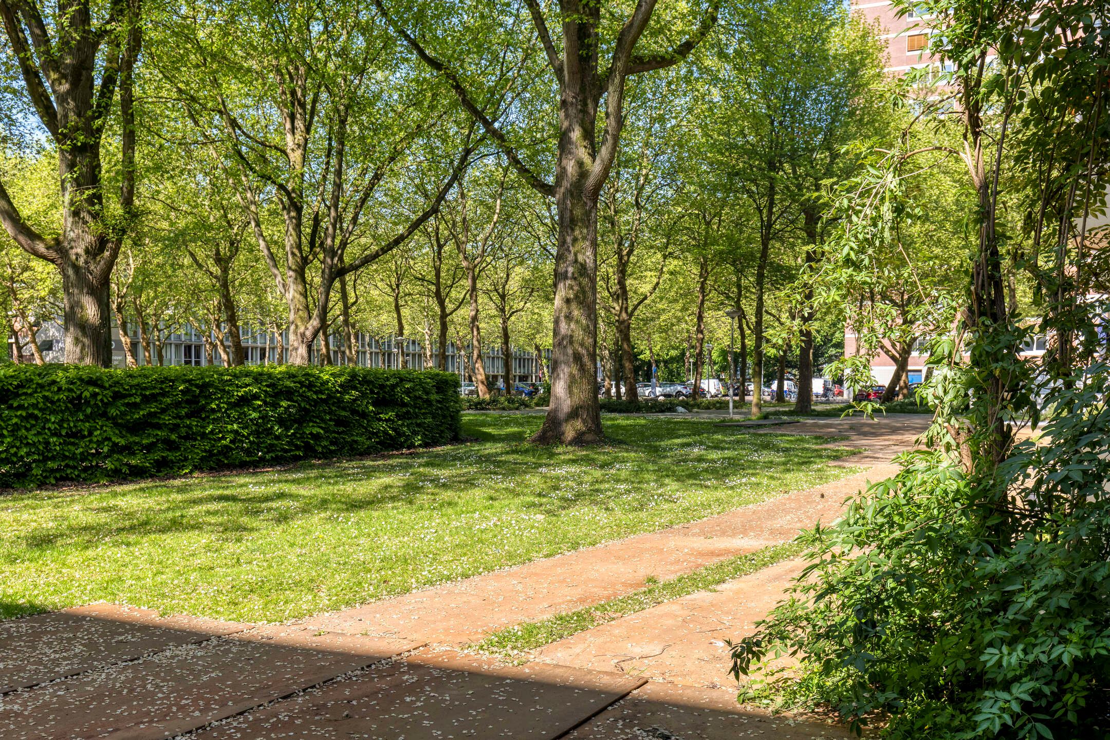 Foto 18 van Het Laagt 119