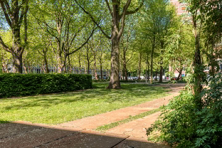 Photo 18 of Het Laagt 119