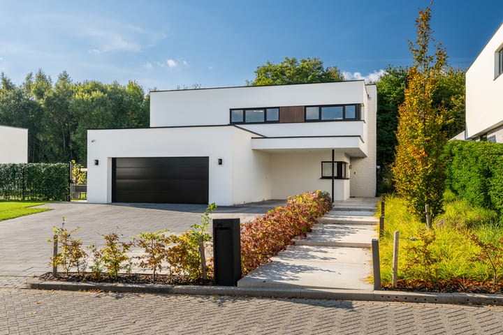 Foto 3 van Koningskaars 20