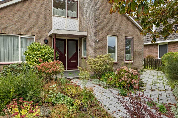 Foto 5 van de Finne 3