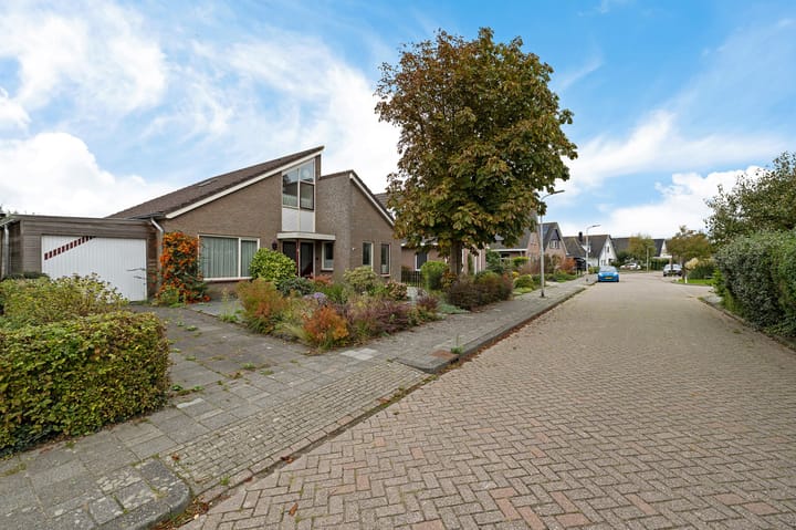 Foto 6 van de Finne 3