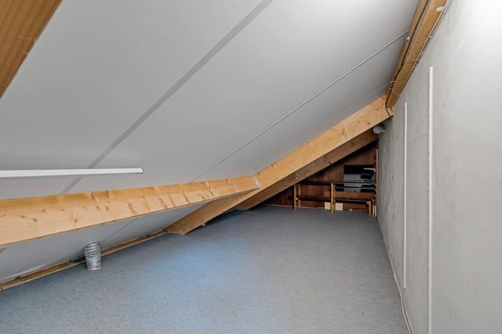 Foto 30 van de Finne 3