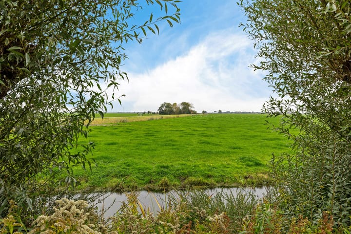 Foto 35 van de Finne 3