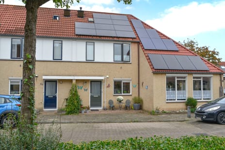 undefined main image