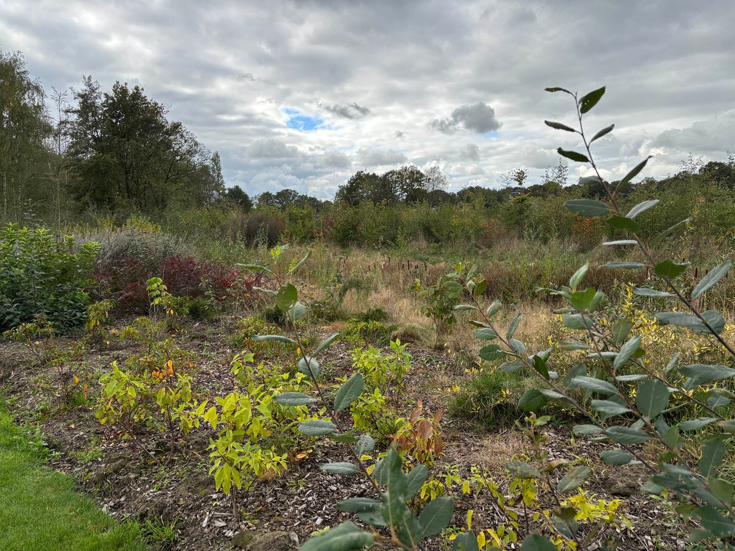 Photo 50 of Leiweg 17