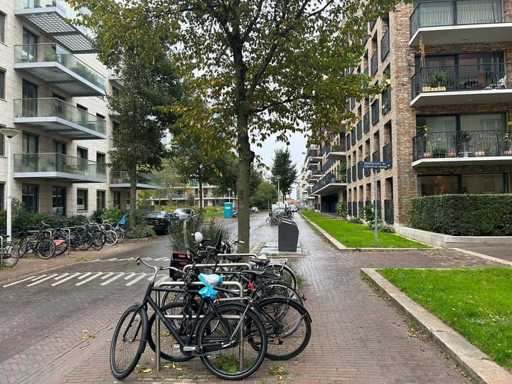 Foto 7 van Spadinalaan