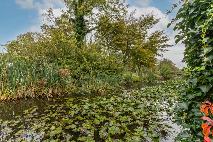 Photo 48 of Harpoenier 48