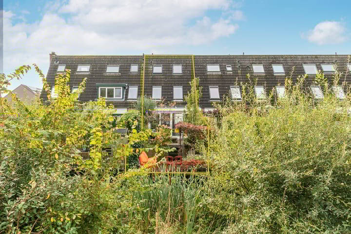 Photo 52 of Harpoenier 48