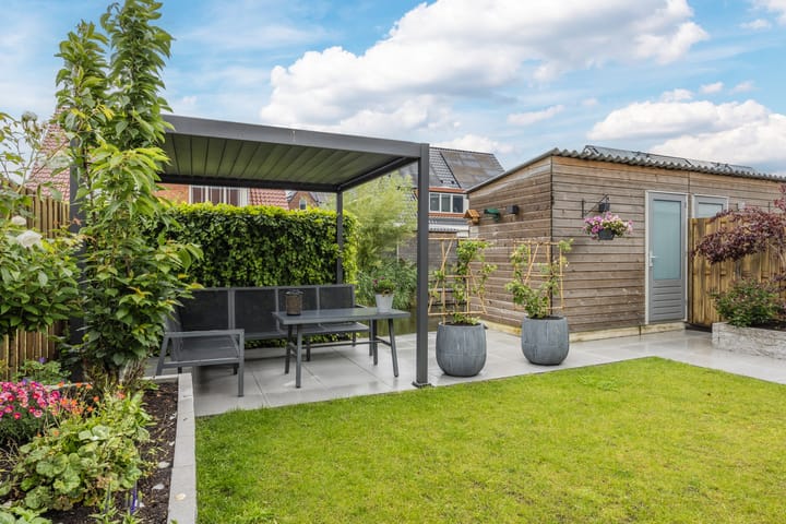 Foto 40 van Suikerpeer 95