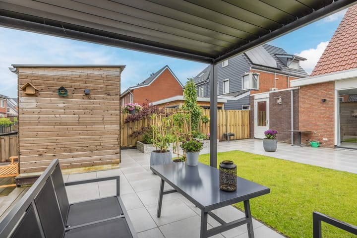 Foto 44 van Suikerpeer 95