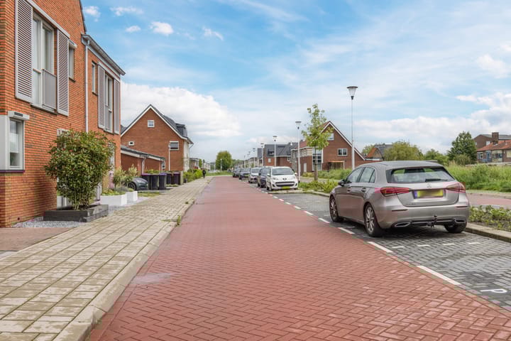 Foto 45 van Suikerpeer 95