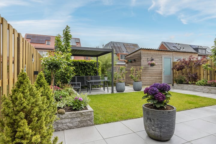 Foto 37 van Suikerpeer 95