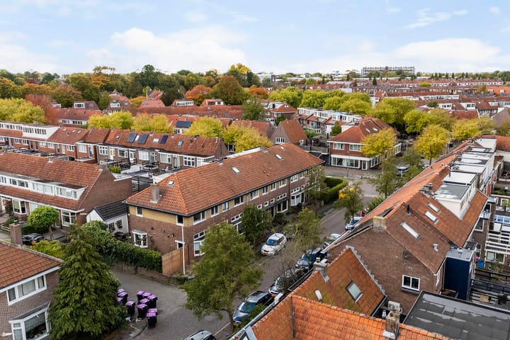 Foto 59 van Gerard Doustraat 53