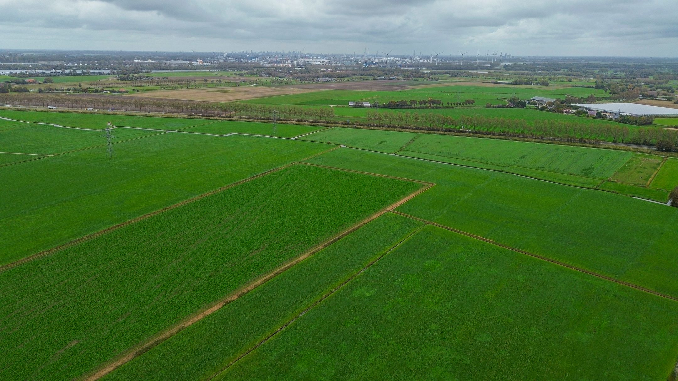 Photo 51 of Veckdijk 10