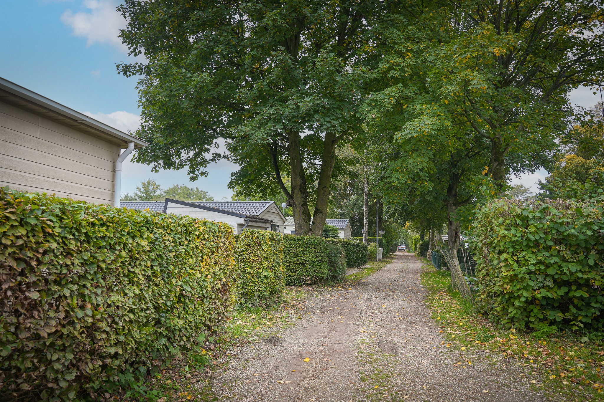 Photo 21 of Erichemsekade 8-1