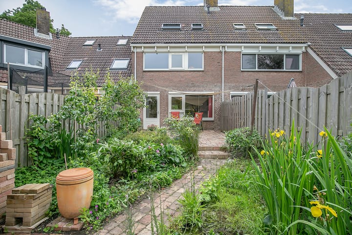 Photo 11 of Rielant 42