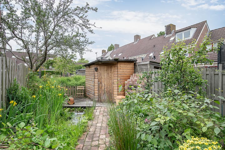 Photo 12 of Rielant 42