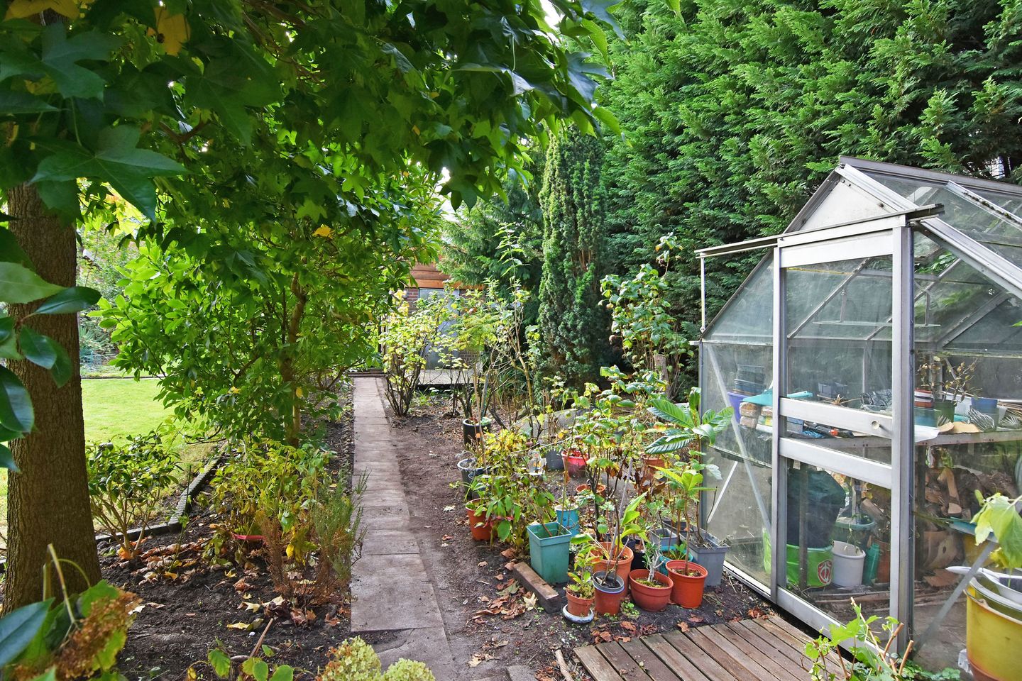 Photo 59 of Koningin Wilhelminastraat 3