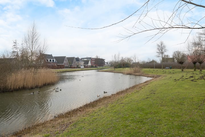 Foto 60 van Roode Kreek 4