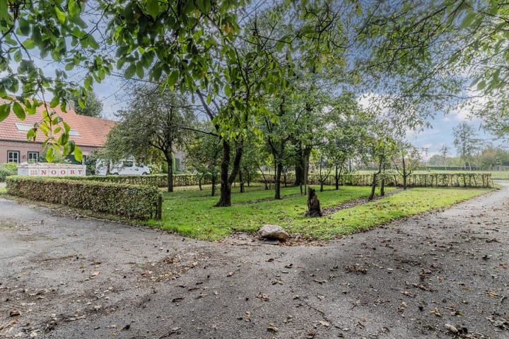 Foto 48 van Molenschotsedijk 3