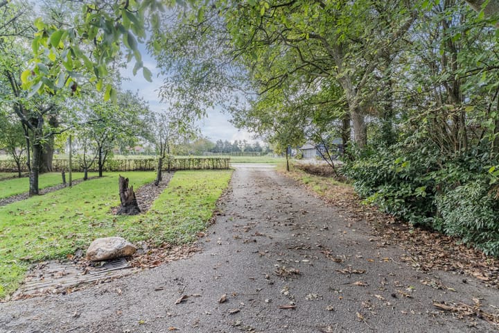 Foto 49 van Molenschotsedijk 3