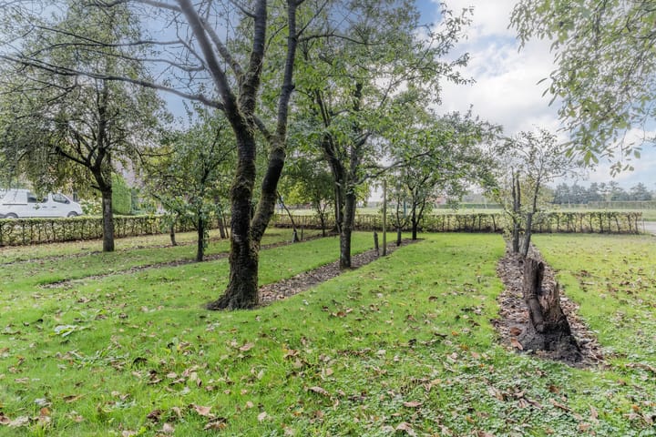 Foto 50 van Molenschotsedijk 3