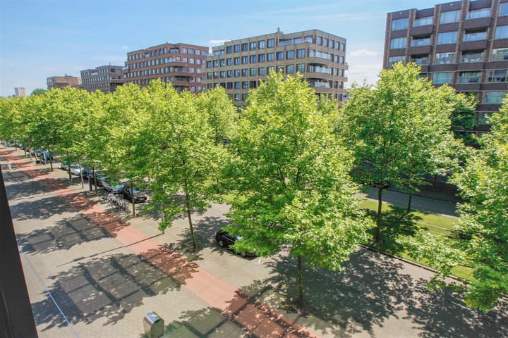 Foto 2 van Laan op Zuid 638