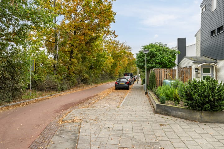 Photo 27 of Ambonlaan 72