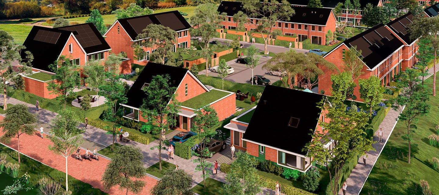 Photo 1 of Blom fase 4