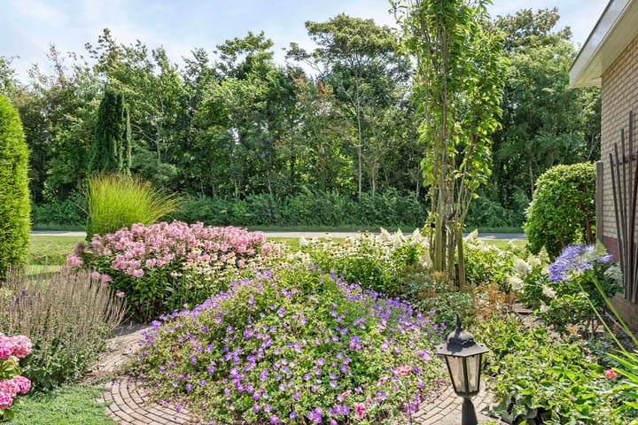 Foto 39 van Duinschooten 23