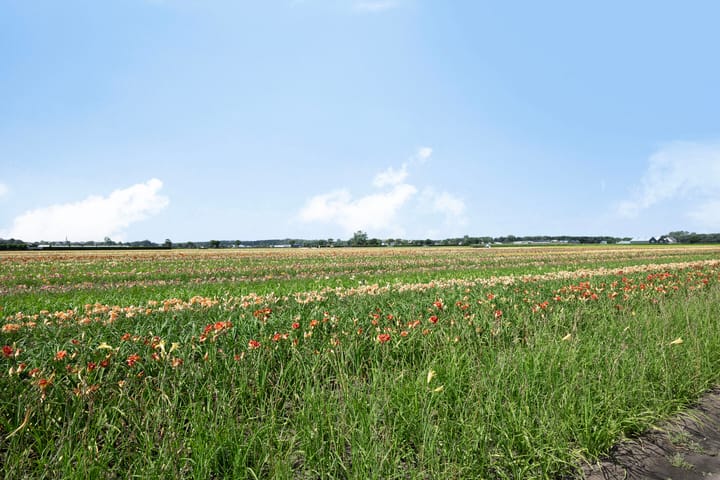 Foto 43 van Duinschooten 23