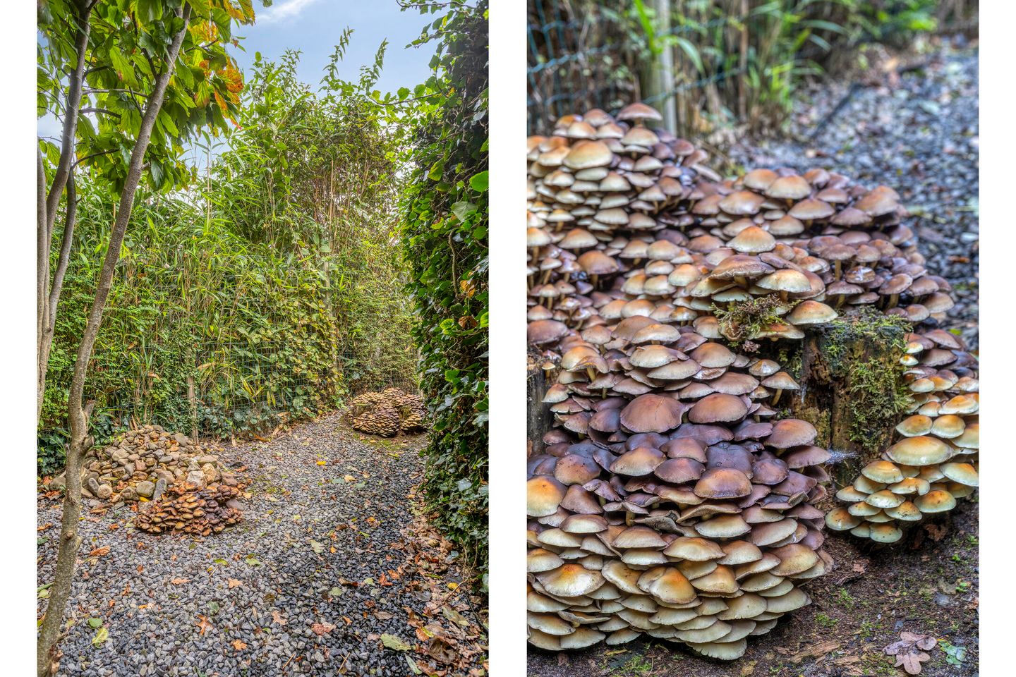 Photo 50 of Kortenhorststraat 17